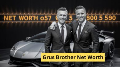 Grus Brother Net Worth