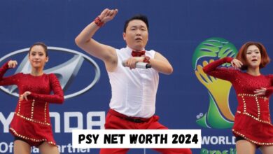 Psy Net Worth