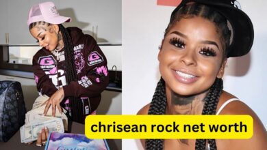 Chrisean Rock Net Worth