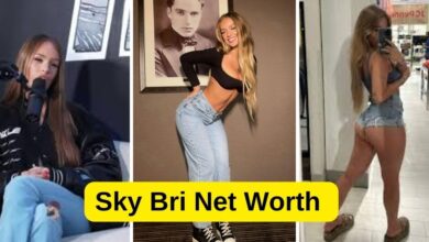 Sky Bri Net Worth