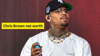 Chris Brown net worth